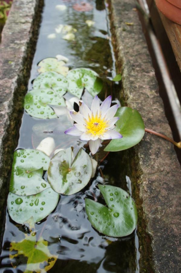 Cheng-Ping Hot Spring Inn Wenquan Zewnętrze zdjęcie